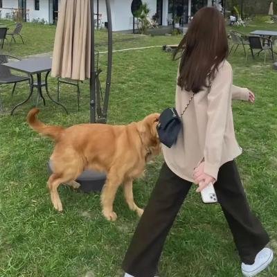 先下手为强